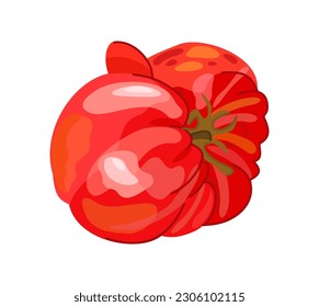 Heutige Tomate. Vektorgrafik von unvollkommenem Gemüse. Realitätskonzept.