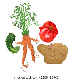 Ugly vegetables. Imperfect cucumber, carrot, tomato, potato. Vector isolated illustration. Ugly food. Realness concept.