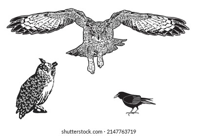 Uhu, owl and raven isolated, illustration