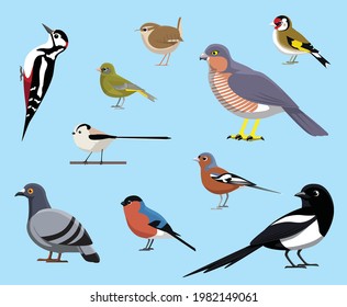 UK Birds Magpie Pigeon Finch Set Cartoon Vector Illustration