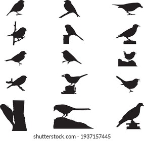 UK Garden Birds Vector Illustration Set