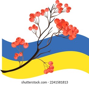 Ukraine branch viburnum rowan tree berries