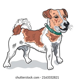 Ukraine Dog Patron, jack russell terrier vector Illustration on white background.