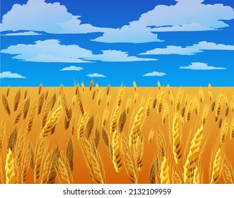 ukraine wheat field ears sky clouds flag national colors yellow-blue