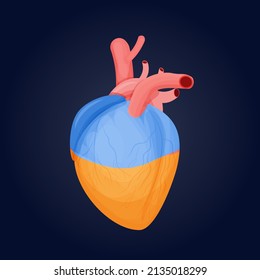 Ukrainian flag, National flag on heart organ with two colors blue and yellow in cartoon style. Elements for design. 