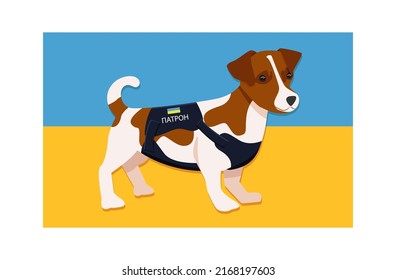 Ukrainian police dog by the name Patron in uniform with Ukrainian flag. Jack russell terrier service dog. Patron dog of demining and searching for bombs.