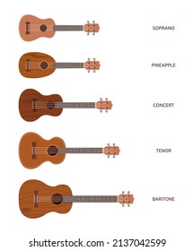 Ukulele isolated on white, different sizes of musical instrument. Colored ukuleles. Relaxation, hawaii, melody. Flat vector illustration.