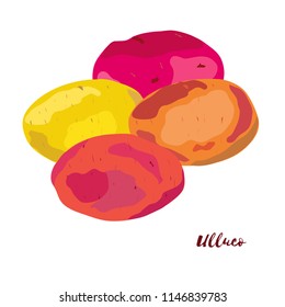 Ulluco. Flat design. Vector illustration.