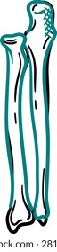 Ulna Bone Medical Icon Vector Outline Hand-Drawn Forearm Anatomy Skeleton Symbol