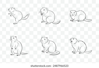 Ultimate Beaver Line Art Vector Collection