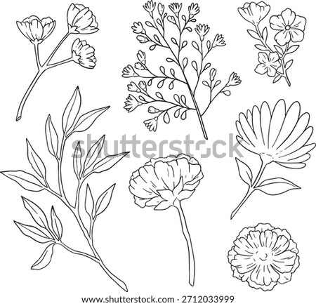 The ultimate bundle of 70+ diverse hand-drawn botanical line art elements. Featuring detailed wildflowers, stylized stems, leaves, and abstract berries. Perfect for large-scale projects like branding.
