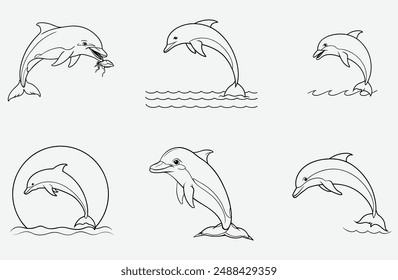 Ultimate Dolphin Line Art Set Vector, Stunning Illustrations for Creative Designs