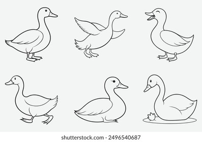 Ultimate Duck Line Art Collection