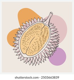 Ultimate Durian Vector Illustration  Exotic Fruit Art