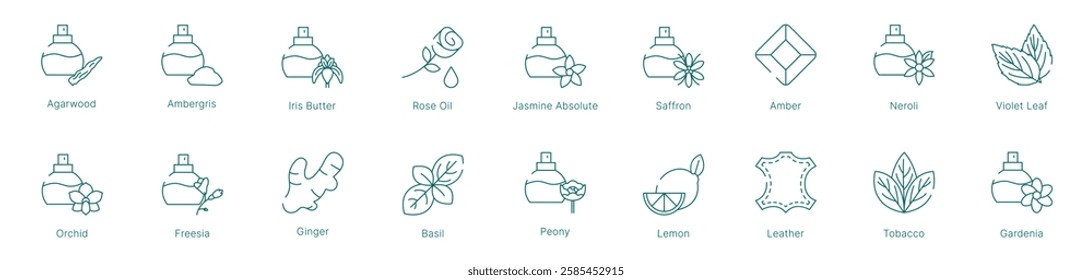 Ultimate Fragrance Notes Collection Vector Icon Set