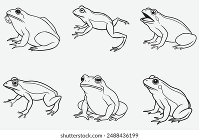 Ultimate Frog Line Art Set Vektorgrafik, die umfassende Kollektion