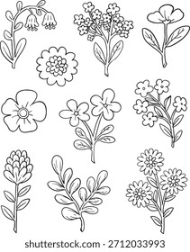 Ultimate desenhado à mão mega-set vetor com uma vasta coleção de elementos botânicos: diversas folhas (carvalho, bordo), flores, bagas, bolotas, cogumelos e flora da floresta. O rabiscar ideal.