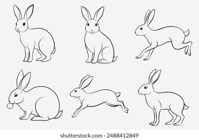 Ultimate Hare Line Art Set Vector, Exquisite and Detailed Designs