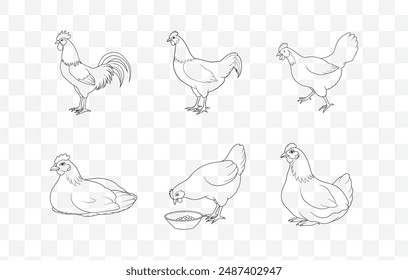 Ultimate Hen Line Art Vector Collection: Detailed and High-Quality Illustrations