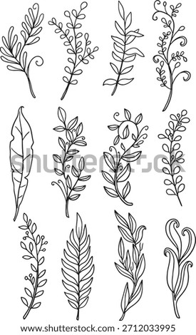 The ultimate master bundle: 120+ diverse hand-drawn vector botanical elements. This vast collection includes detailed wildflowers, stylized leaves, elegant stems, abstract berries, and ferns.