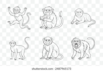 Ultimate Monkey Line Art Vector Set Collection