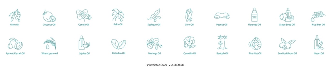 Ultimate Natural Oils Collection Vector Icon Set: Olive, Coconut, Canola, Palm, Soybean, Corn, Peanut, Flaxseed, Grape Seed, Rice Bran, Apricot Kernel, Wheat Germ, Jujuba, Pistachio, Moringa, Camellia