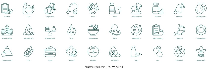 Iconos vectoriales de nutrición y bienestar: nutrición, alimentos, verduras, proteínas, frutas, agua, carbohidratos, vitaminas, minerales, grasas saludables, granos integrales, grasas saturadas, dieta equilibrada, K-Cal