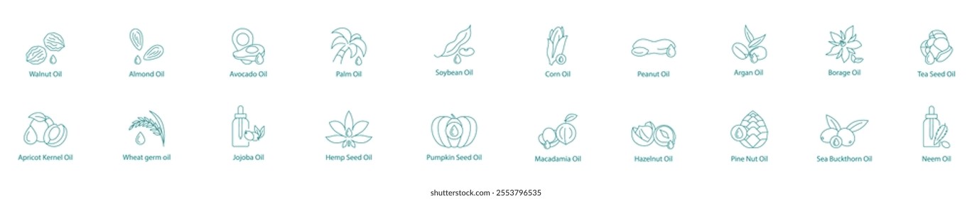 Ultimate Plant Oils Collection Vector Icon Set: Walnut, Almond, Avocado, Palm, Soybean, Corn, Peanut, Argan, Borage, Tea Seed, Apricot Kernel, Wheat Germ, Jojoba, Hemp, Pumpkin Seed, Macadamia 