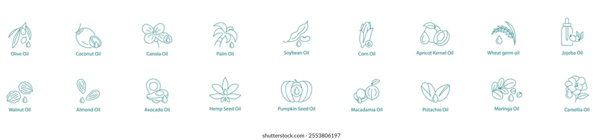 Ultimate Plant-Based Oils Collection Vector Icon Set Soybean, Corn, Peanut, Flax Seed, Grape Seed, Rice Bran, Canola, Palm, Pumpkin, Macadamia, Hazelnut, Argan, Borage, Tea Seed, Avocado, Hemp, Moring