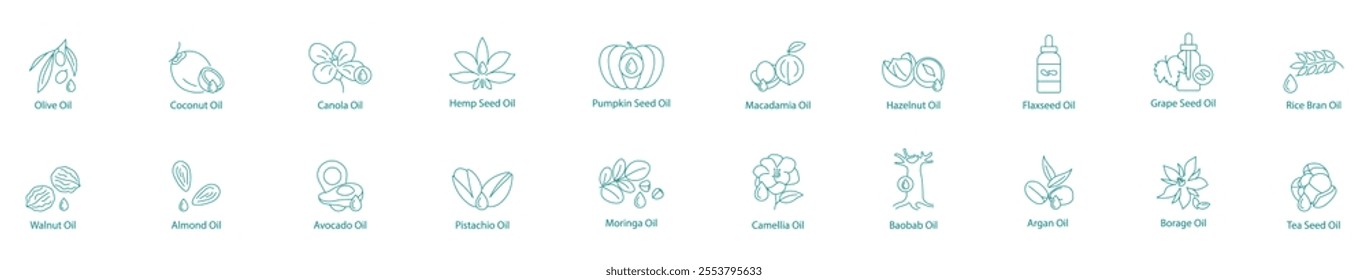 Ultimate Plant-Based Oils Vector Icon Set: Olive, Coconut, Canola, Hemp, Pumpkin Seed, Macadamia, Hazelnut, Flaxseed, Grape Seed, Rice Bran, Walnut, Almond, Avocado, Pistachio, Moringa, Camellia 