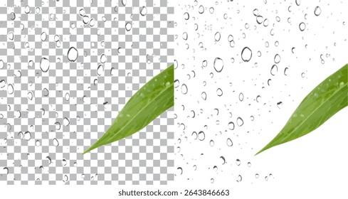 Ultra-realistic editable images of water droplets and condensation, single drops and clustered drops, on a transparent background.