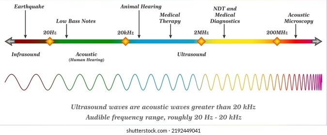 La ultrasonografía utiliza ondas de sonido de alta frecuencia (ultrasonido) para producir imágenes de órganos internos y otros tejidos