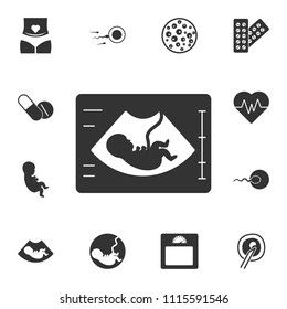 Ultrasonography vector icon. Simple element illustration. Ultrasonography vector symbol design from Pregnancy collection set. Can be used for web and mobile on white background