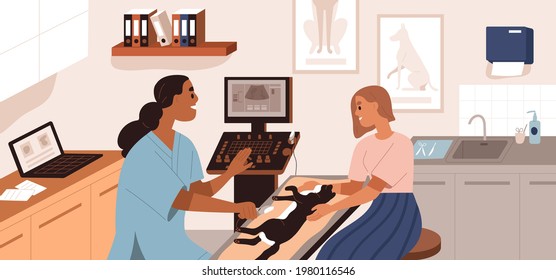 Ultrasound diagnostics in vet clinic. Pet owner holding cat while veterinarian examining patient in modern veterinary office with USI device. Colored flat vector illustration of animal health checkup.