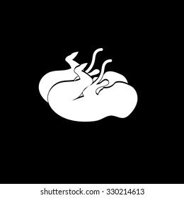 Ultrasound icon. Maternity icon. Twins