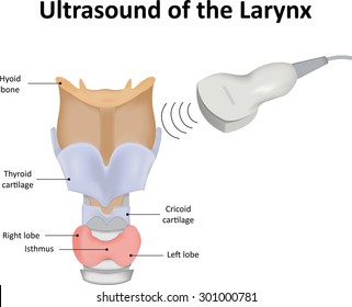 Ultrasound of the Larynx