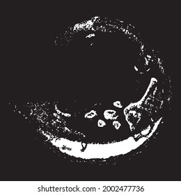 Ultrasound snapshot of alien's baby
