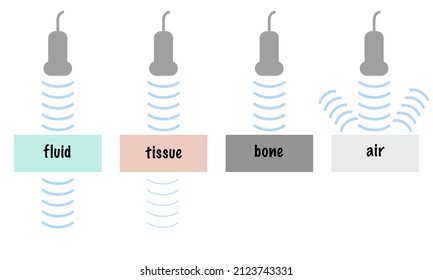 Ultrasound Wave Attenuation of Different Tissue Including Fluid Soft Tissue Bone Air. Ultrasound Physics concept