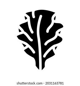 ulva lettuce seaweed glyph icon vector. ulva lettuce seaweed sign. isolated contour symbol black illustration