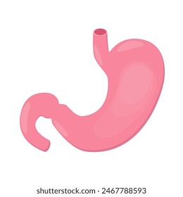 uman Internal Stomach Anatomy. Vector illustration in flat style