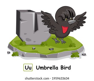 Umbrella Bird Rock Stone Alphabet Animals Letter U