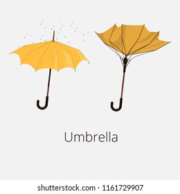 Umbrella and Broken Umbrella