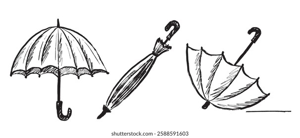 Umbrella cane drawing. Opened closed umbrella in brush stroke texture isolated on white background. Hand drawn vector sketch illustration in vintage charcoal ink. Icon set, package design