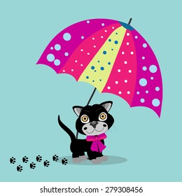 umbrella and a cat on a blue background