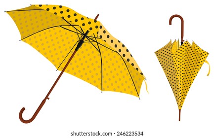 umbrella fashionable
