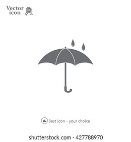 Umbrella icon