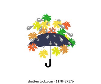 Umbrella leaves rain