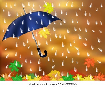 Umbrella leaves rain
