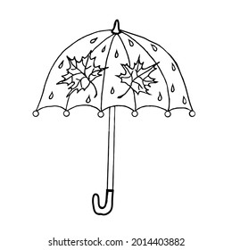 An umbrella opened with maple leaves.Vector illustration in the doodle style.