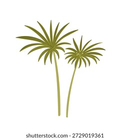 Regenschirm-Papyrus, Vektorgrafik der Wildpflanze auf weißem Hintergrund, Cyperus alternifolius, florales Element, handgezeichnete botanische Illustration
